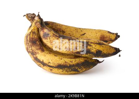 bunch of over ripe black or brown spotted banana, bruises on fruit isolated on white background Stock Photo