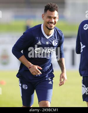 Schalke, Deutschland. 27th Oct, 2022. firo : 27.10.2022, football, soccer,  1.Bundesliga, first league season 2022/2023, FC Schalke 04 1st training  Thomas Reis Credit: dpa/Alamy Live News Stock Photo - Alamy