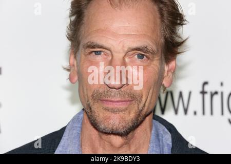 Julian Sands (The Phantom of The Opera) attends premiere of 'Ghosts of Monday' at Arrow FrightFest held at Cineworld Leicester Square in London. Stock Photo