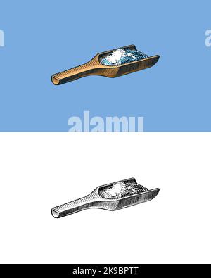 Wooden spoon of sea salt. Piles of seeds. Spice in natural packaging. Flavoring or saline. Vintage background banner. Engraved hand drawn old sketch.  Stock Vector