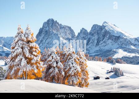 Picturesque landscape with small wooden log cabin on meadow Alpe di Siusi on sunrise time. Seiser Alm, Dolomites, Italy. Snowy hills with orange larch and Sassolungo and Langkofel mountains group Stock Photo