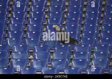 Rome, Italy. 27th Oct, 2022. Rome, Italy 27.10.2022: The eagle, the symbol of Lazio, does not fly on the pitch and sits on the stands before the Uefa Europe League 2022-2023, Group F - SS matchday 5, football match between SS Lazio vs FC Midtjylland at Olympic Stadium in Rome, Italy. Credit: Independent Photo Agency/Alamy Live News Stock Photo