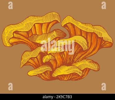 Juicy tasty oyster mushrooms. Pattern isolated. Vegetarian fresh oyster mushroom realistic colorful sketch style. Stock Vector