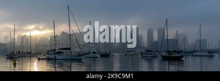 Foggy San Diego skyline behind San Diego harbor full of sailboats during an early morning sunrise. Beautiful color landscape photography at sunrise. Stock Photo