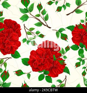 Seamless texture buds red roses and buds cracks in the porcelain vintage vector illustration editable hand draw Stock Vector