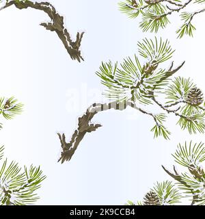 Seamless texture pine branches and cones needles and snow  vintage vector botanical illustration for design editable hand draw Stock Vector