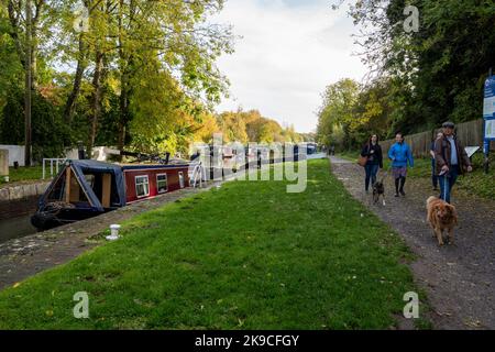 Dog walkers enjoying an autumnal walk beside narrowboats at Caen Hill Locks, Kennet and Avon Canal. Stock Photo
