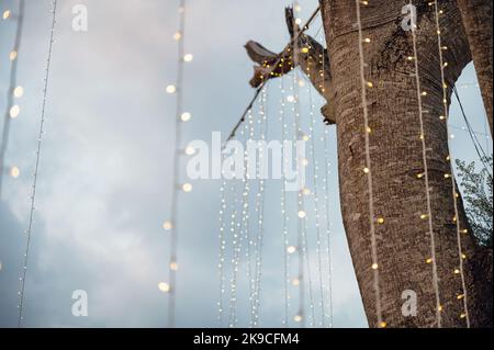 Light bulb glowing decoration on tree with sky at celebration Stock Photo