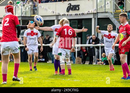 England took on Wales in the 2022 Physical Disability Rugby League World Cup at Victoria Park, Warrington. Stock Photo