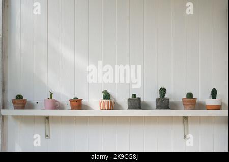 Various of green cactus in flowerpot at shelf decoration on white wooden wall Stock Photo