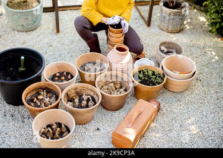 Woman planting flowers in jugs at garden Stock Photo