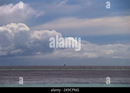 The sail of an outrigger canoe crests the horizon on Jaluit Lagoon, Marshall Islands, 2009. Stock Photo