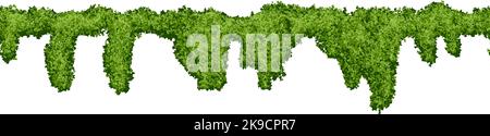 Horizontal endless swamp moss pattern on white background Stock Vector