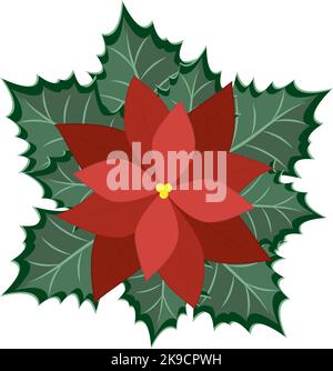 Christmas traditional red poisettia closeup on the white background. Christmas decoration, vector illustration. Stock Vector