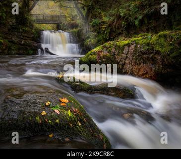 The Sychryd Cascades, a set of waterfalls near Dinas Rock in the Brecon Beacons National Park, South Wales UK Stock Photo