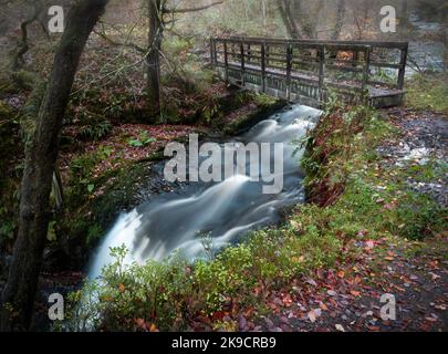 The wooden bridge over the Sychryd Cascades, a set of waterfalls near Dinas Rock in the Brecon Beacons National Park, South Wales UK Stock Photo