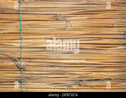 Interior of hut hut in the Dubai Stock Photo