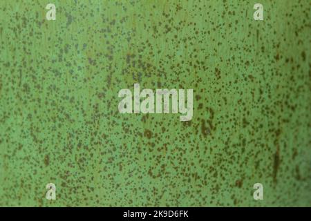 This image shows a lime green color abstract texture background of a macro photographed glazed ceramic stoneware surface. Stock Photo