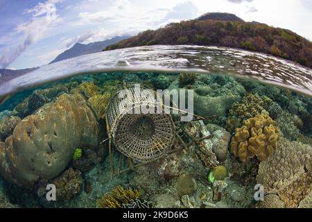 A traditional fish trap has been laid on a shallow, healthy reef near Alor, Indonesia. This area is known for its high marine biodiversity. Stock Photo