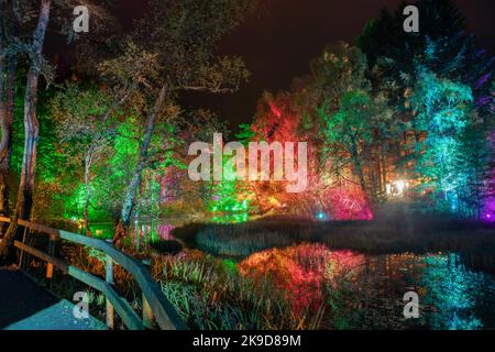 The Enchanted Forest, Faskally Forest, Pitlochry, Perthshire, Scotland, UK Stock Photo