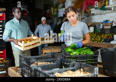 Woman working in vegetable warehouse Stock Photo