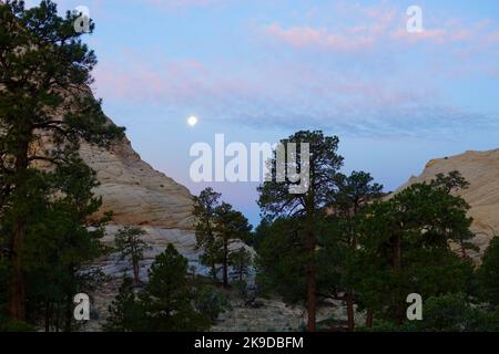 pink clouds illuminated by the full moon on a crisp early morning Stock Photo