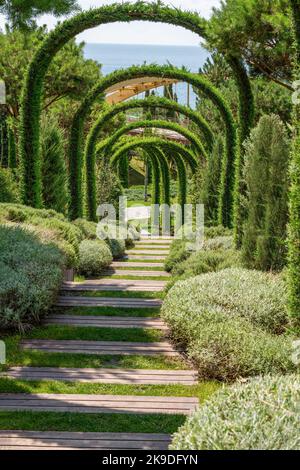 Amazing garden near the hotel "Mriya" with topiary plants (trimmed trees or  bushes) in British (or French) style - southern coast of the Crimean peni  Stock Photo - Alamy