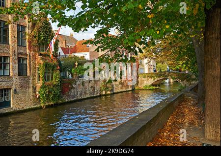 Bruges (Brugge) in Flanders, Belgium and autumnal colours show on trees lining the Groenerei Canal. Stock Photo