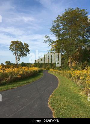 A trail winds through Riverview Farmstead Forest Preserve in Will County, Illinois.  It is part of the DuPage River Trail system. Stock Photo