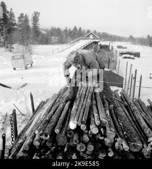 Loading of timber from truck to freight wagon with puller timber ...