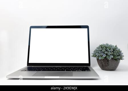 Laptop computer blank screen and flower on white background. Stock Photo