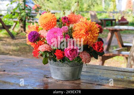 Colorful flowers: roses, asters, dahilia in the apple garden on a wooden table. Bright rural design. Sunny day. Stock Photo