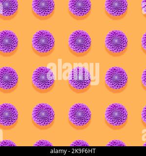 Pattern with purple flowers dahlias on orange background, top view. Stock Photo