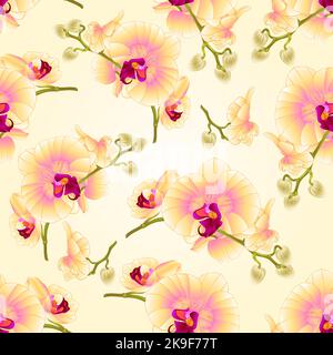 Seamless texture stem orchids flowers yellow  Phalaenopsis tropical plant vintage vector botanical illustration for design editable hand draw Stock Vector