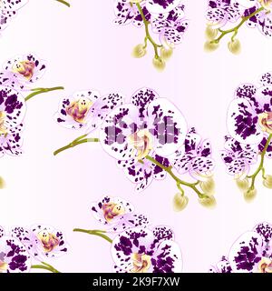 Seamless texture stem orchids flowers spotted purple and white   Phalaenopsis tropical plant vintage vector botanical illustration for design editable Stock Vector