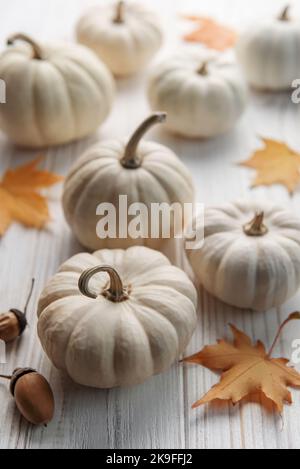 White decorative pumpkins on the background of a old white wood. Cozy autumn concept Stock Photo
