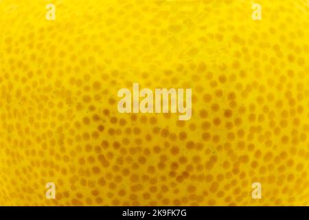 Yellow citrus fruit peel close-up texture background Stock Photo