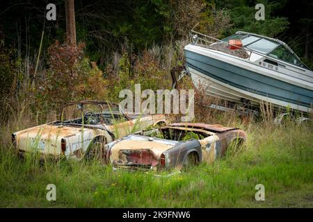 Old rusty cars that no longer drive are in a field with weeds and trees Stock Photo