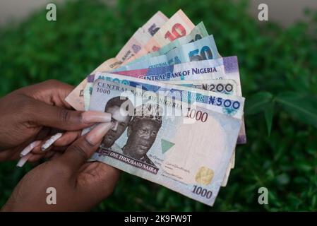 A person holding money: The Bank of Nigeria plans to redesign the Naira note. Showcase a variety of Nigerian banknotes. Stock Photo