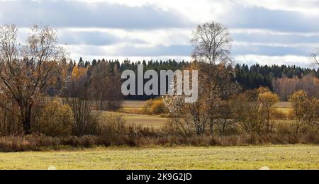 Autumn colors in countryside in October Stock Photo