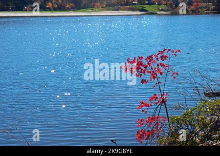 Lake Marcia of New Jersey's High Point State Park, on a sunny autumn day, surrounded by luscious foliage -06 Stock Photo