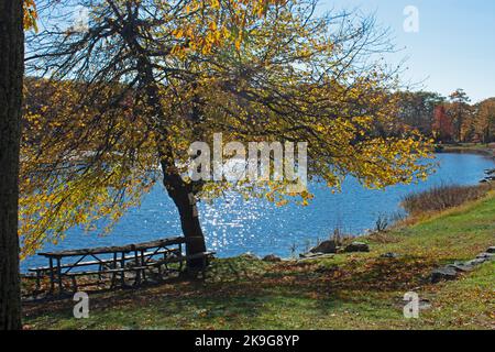 Lake Marcia of New Jersey's High Point State Park, on a sunny autumn day, surrounded by luscious foliage -08 Stock Photo