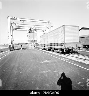 Container terminal. SJ SLPS Stock Photo