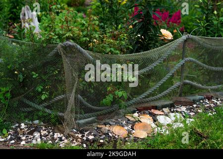 landscape design in a seaside village, a flower bed fence made from an old fishing net and a decorative border made of sea shells Stock Photo