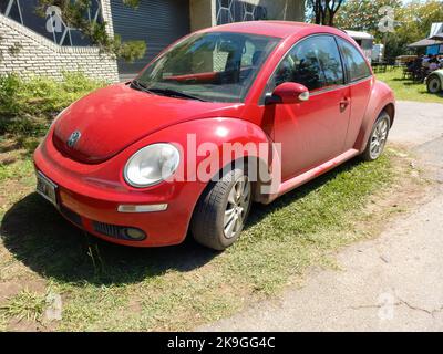 Escobar, Argentina - Mar 12, 2022: red new Volkswagen Beetle Type 9C Bug. Grass and trees nature campsite. Suda VW classic car show. Copyspace Stock Photo