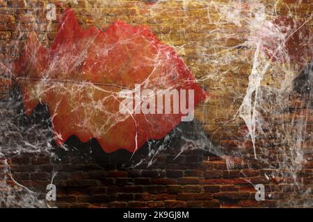 Abstract background with autumn leaf and spider web on brick wall. Stock Photo