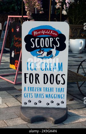 Ice cream for dogs sign, Stratford-upon-Avon, Warwickshire, UK Stock Photo