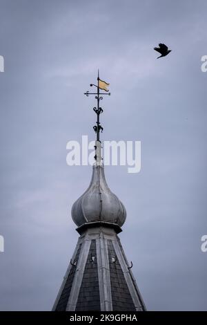 Netherlands, The Hague on 2022-09-22. Arrival of the cabinet at the Council of Ministers of the Dutch government at the Ministry of General Affairs in Stock Photo