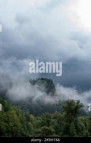 Rocky peak of the mountain covered with forest and surrounded by clouds. Rainy, foggy day in Pieniny National Park, Poland. Stock Photo
