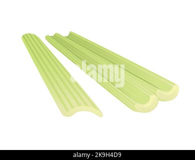 Celery green stem cartoon vegetable plant vector illustration isolated on white background Stock Vector